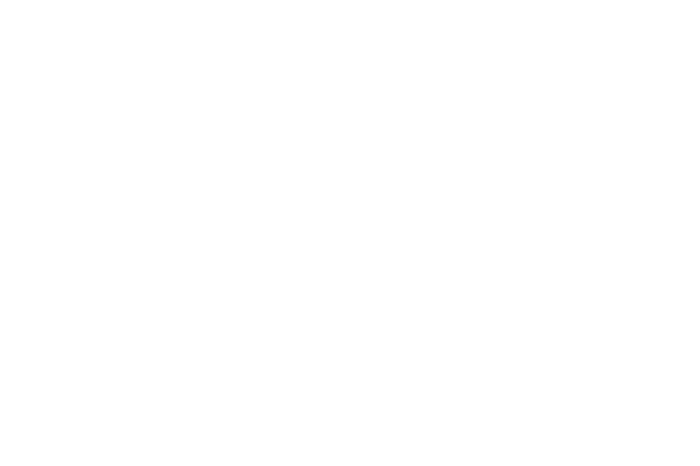 Lso st lukes logo