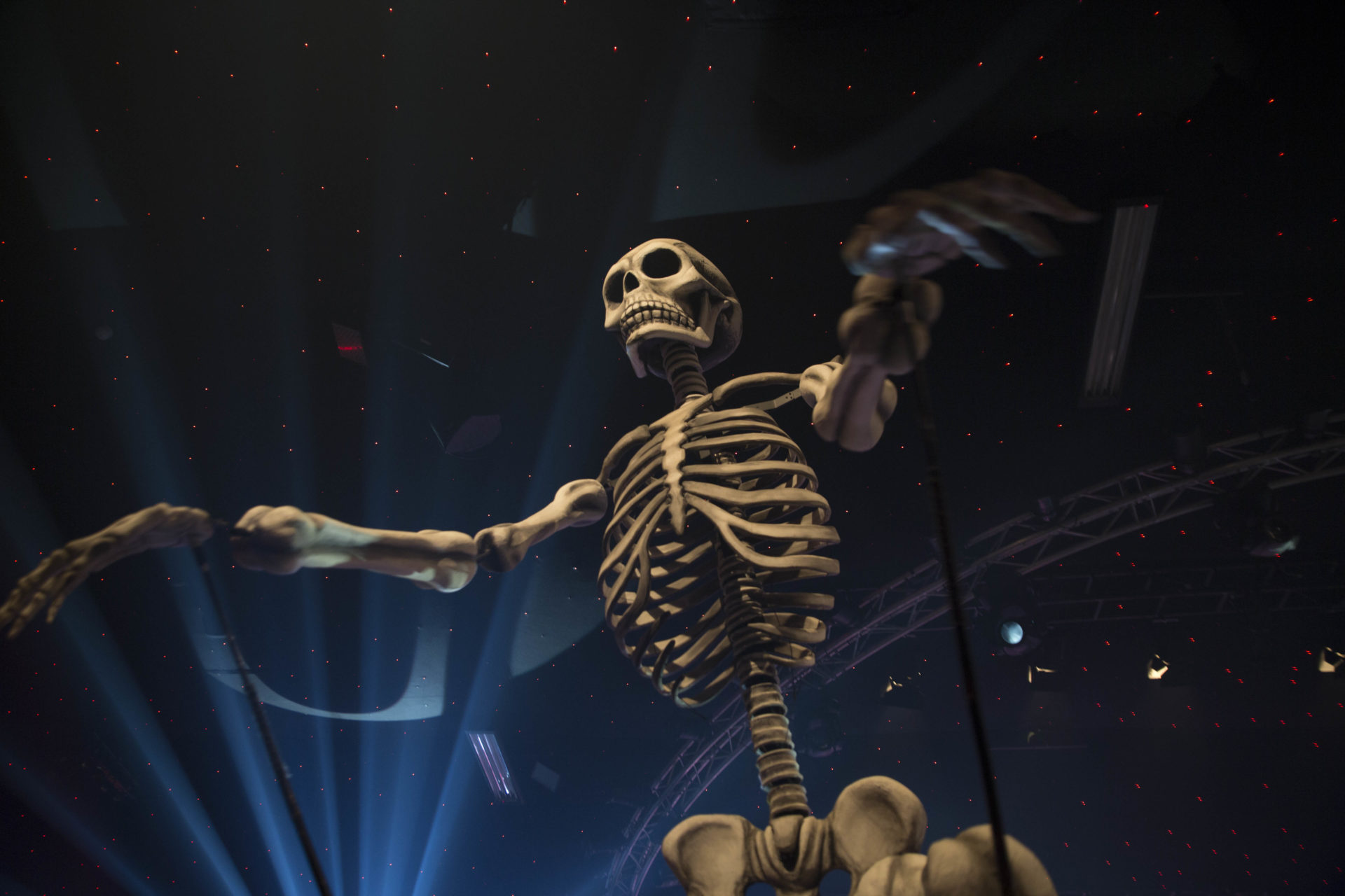 Skeleton at Carnivale - Evolution London Christmas Party