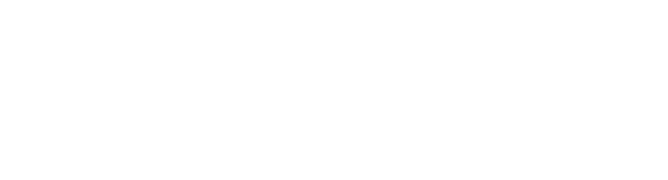 MV logo